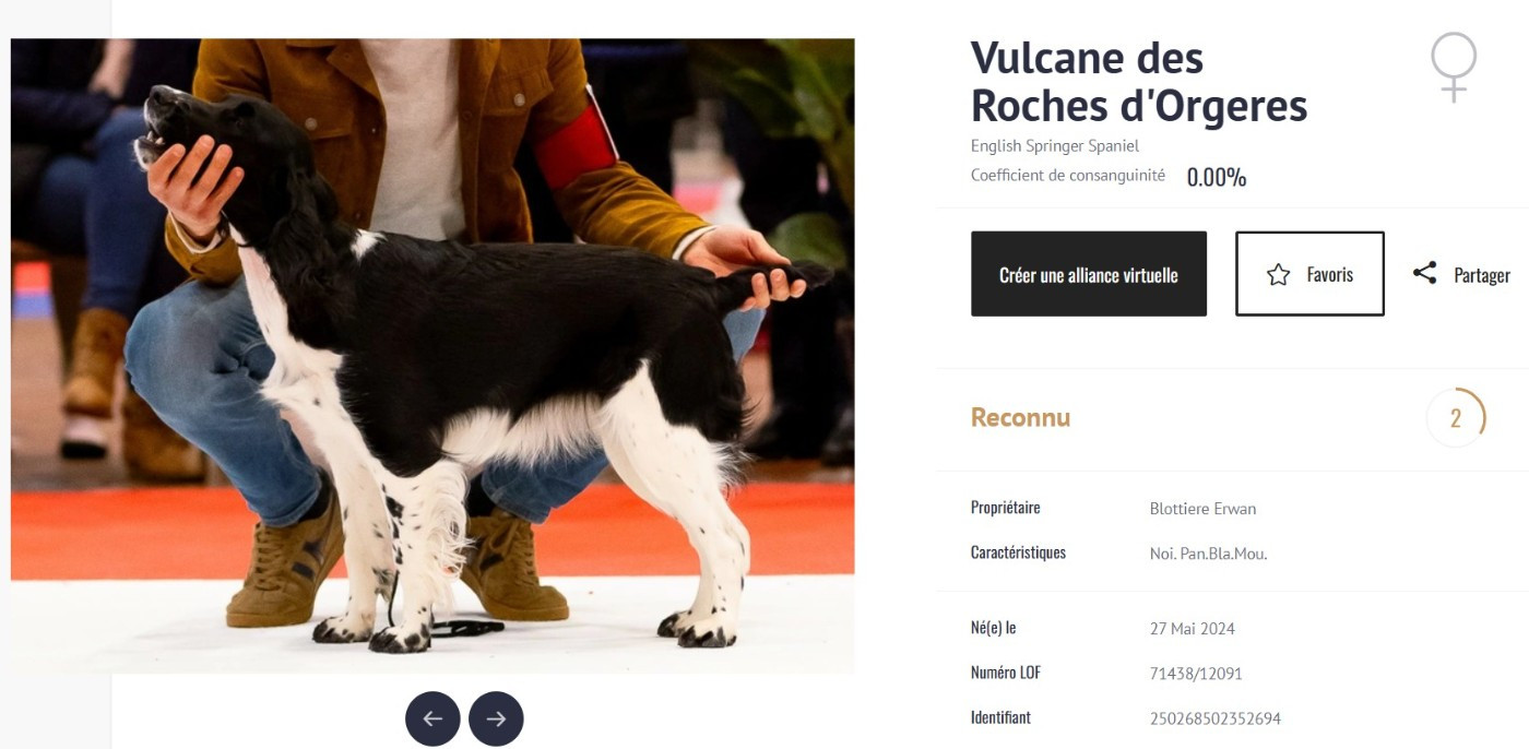 Cotation 2 pour Vulcane !