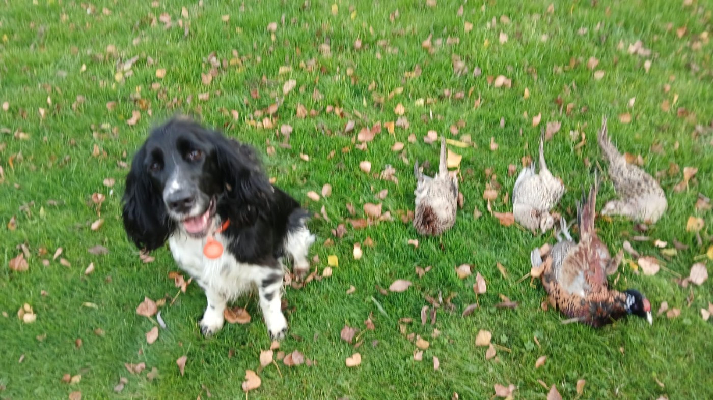 Vickie des Roches d'Orgères